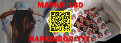 apvp Моздок