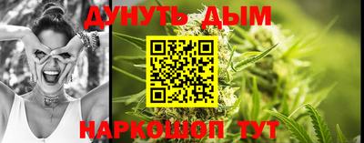 apvp Моздок