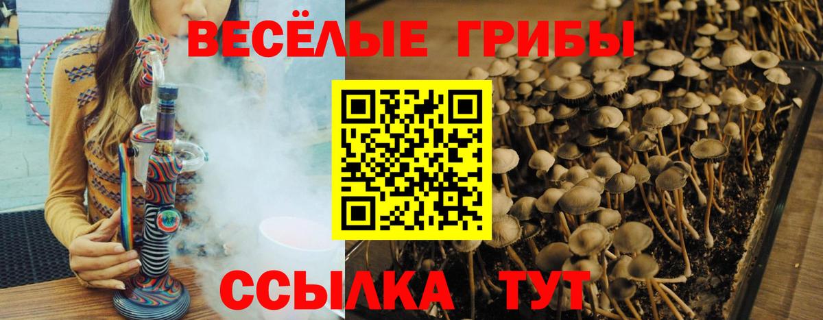 Галлюциногенные грибы ЛСД Вязники
