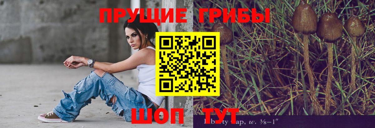 Вязники  Галлюциногенные грибы мухоморы  Вход с VPN 