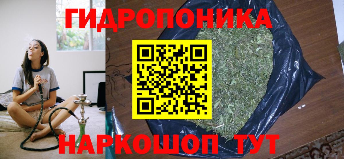 Вязники  Бошки марихуана OG Kush  Вход с VPN  Марихуана Ganja  Конопля индика 